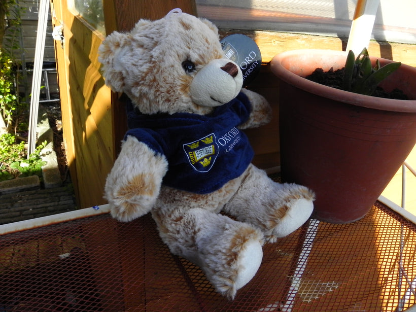 Oxford University Souvenir and Oxford Souvenirs