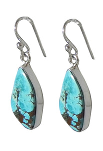 Oblong Turquoise Earring in Sterling Silver Setting